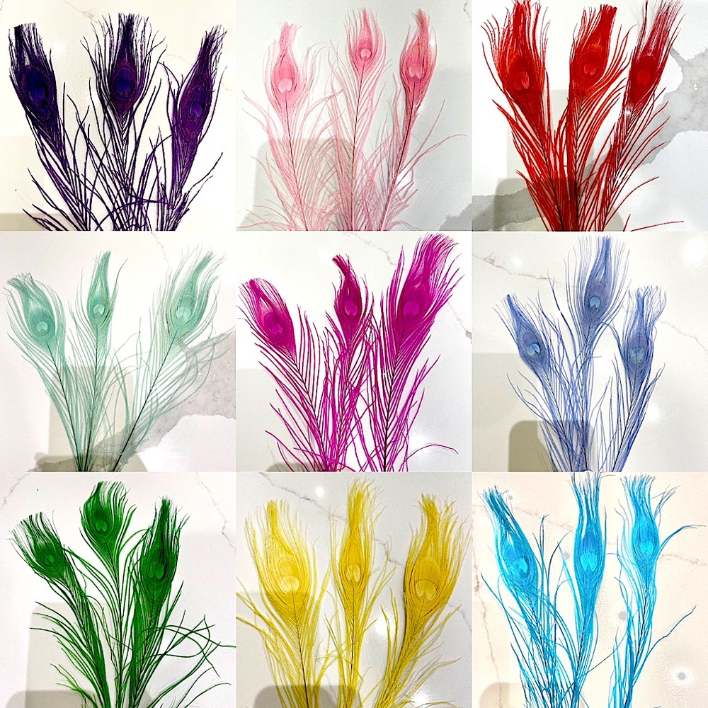 Peacock Feathers